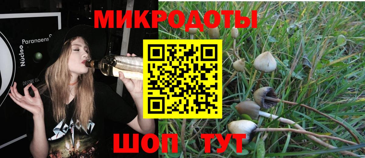 Псилоцибиновые грибы ЛСД Янаул