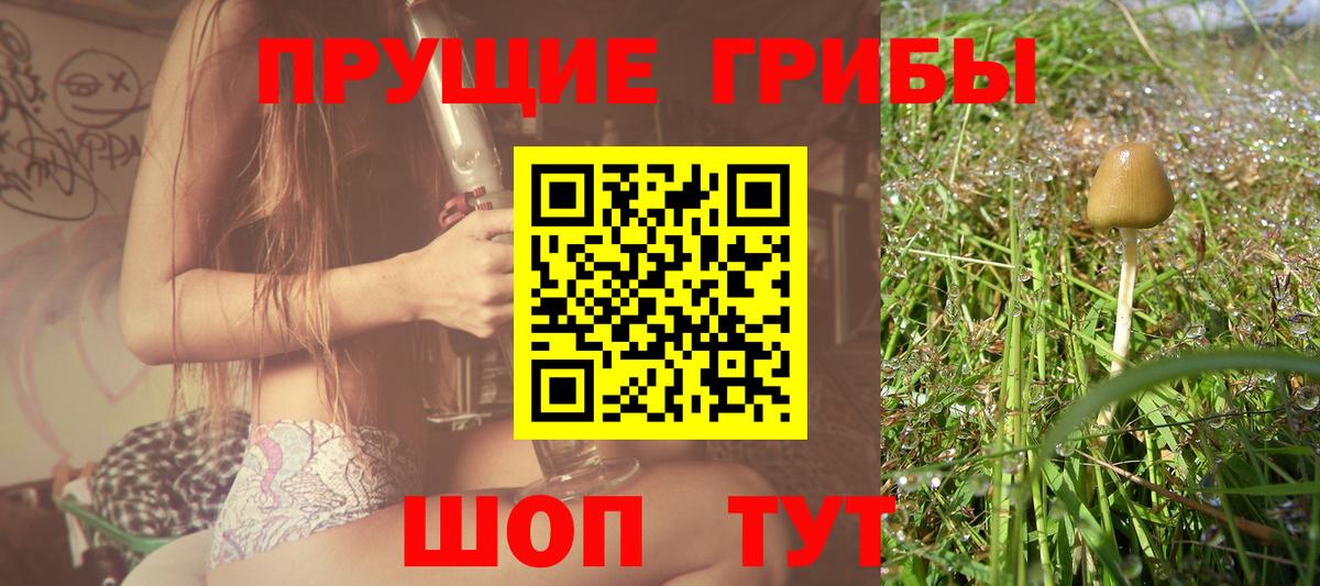 Галлюциногенные грибы прущие грибы  Псилоцибиновые грибы прущие грибы  Вход с VPN  Янаул 